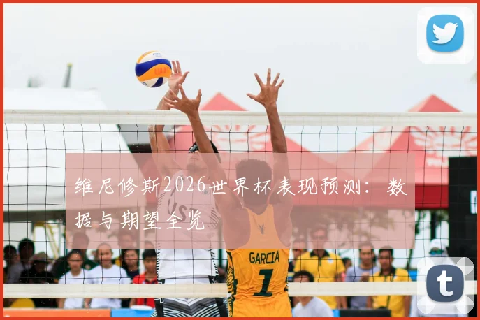 维尼修斯2026世界杯表现预测:数据与期望全览